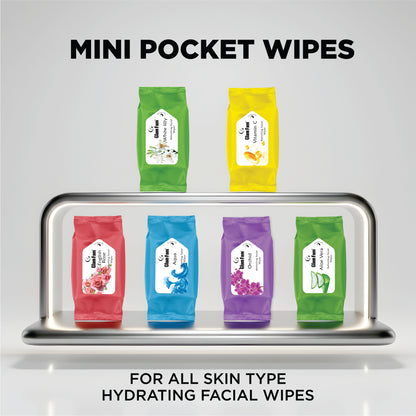 MINI POCKET WIPES (PACK OF 2)